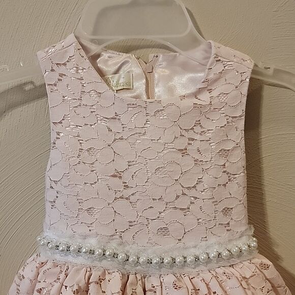 AMERICAN PRINCESS LIGHT PINK LACE OVERLAY SPECIAL OCCASION DRESS, SIZE 4 - Picture 2 of 9